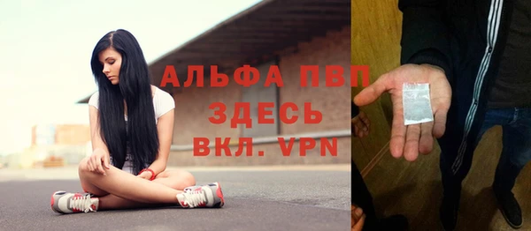 крисы Алзамай