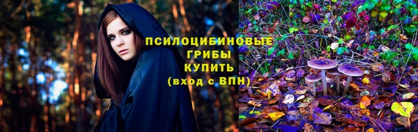 шишки Алексеевка