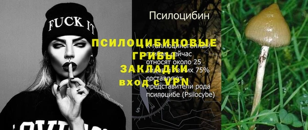 стафф Алексин