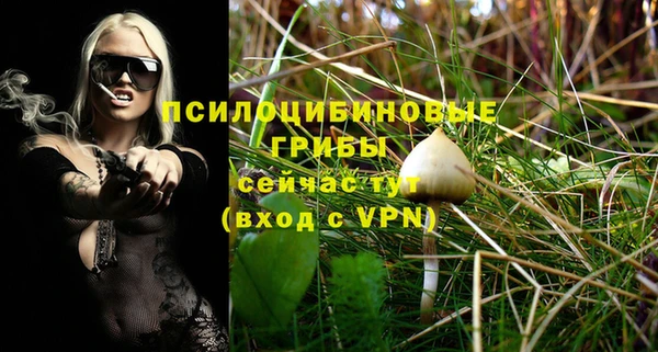 крисы Алзамай