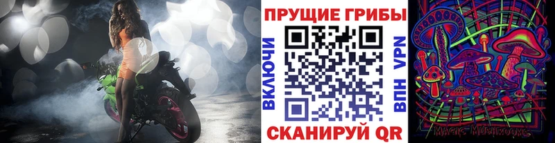 ОМГ ОМГ ТОР  где продают наркотики  Чаплыгин  Псилоцибиновые грибы Magic Shrooms 